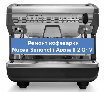 Чистка кофемашины Nuova Simonelli Appia II 2 Gr V от накипи в Краснодаре